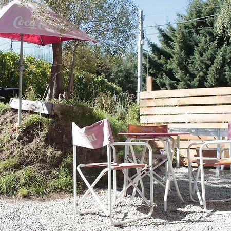 Chaco Bed and Breakfast Villa La Angostura Εξωτερικό φωτογραφία